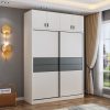 Tủ quần áo hai cánh lùa kịch trần TQA-109